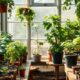 Nursery with potted plants representing customer loyalty growth