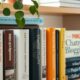 Bookshelf with marketing and blogging books representing monetizing a personal blog site