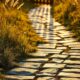 Stone garden path at sunrise illustrating the timeline to build self discipline