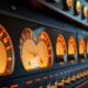 Vintage analog meters and gauges illustrating how to measure digital marketing campaign success